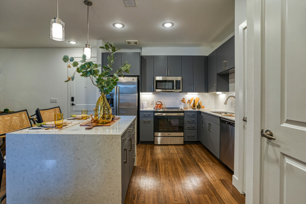 The Perfect Luxury Apartment - kitchen interior with quartz countertops and modern or shaker style cabinetry