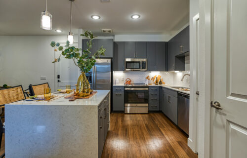 The Perfect Luxury Apartment - kitchen interior with quartz countertops and modern or shaker style cabinetry